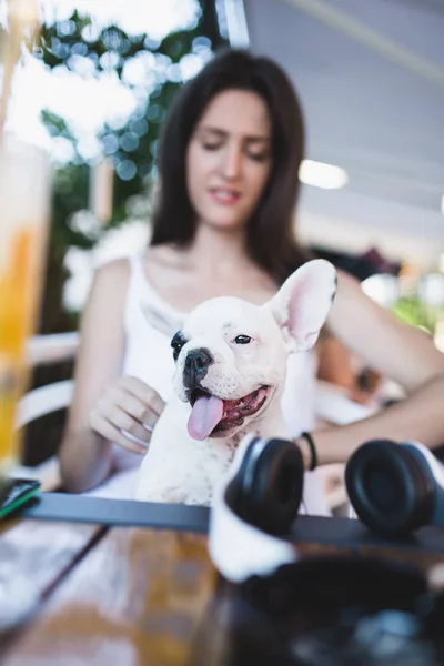 Beautiful Young Woman Sitting Cafe Her Adorable French Bulldog Puppy — Stock Photo, Image