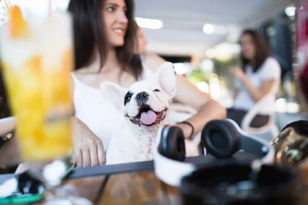 Beautiful young woman sitting in cafe with her adorable French bulldog puppy. People with dogs theme