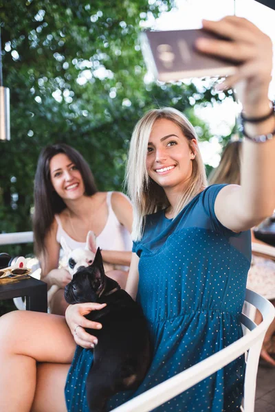 Lindas Mulheres Jovens Desfrutando Uma Cafetaria Mantendo Adoráveis Cachorros Buldogue — Fotografia de Stock