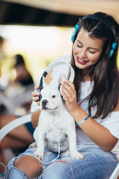 Cute White French Bulldog Puppy Enjoying Owner Lap Listening Music — стоковое фото