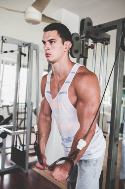 Egzersiz ve fitness spor salonunda ağırlık kaldırma işi genç çekici yetişkin bir adam. Kapalı eğitim spor