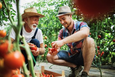 Mutlu büyükbaba aile serasında torunuyla birlikte çalışıyor. Poz verip kameraya bakıyorlar..