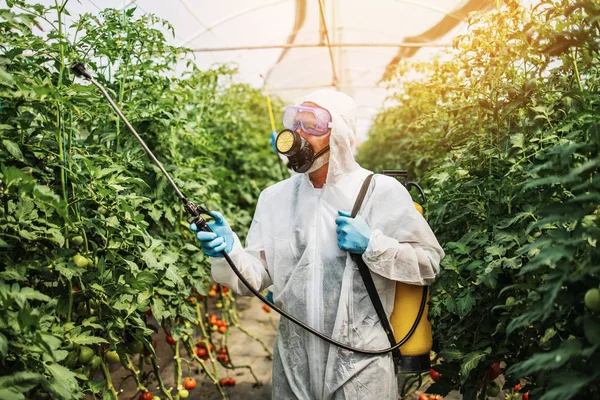 Tema Agricultura Industrial Trabalhador Experiente Suíte Protetora Pulverizando Herbicidas Tóxicos — Fotografia de Stock