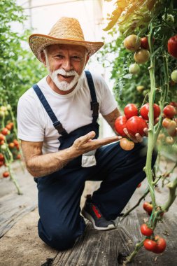 Mutlu ve gülümseyen son sınıf öğrencisi serada çalışıyor..