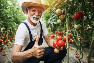Mutlu ve gülümseyen son sınıf öğrencisi serada çalışıyor..