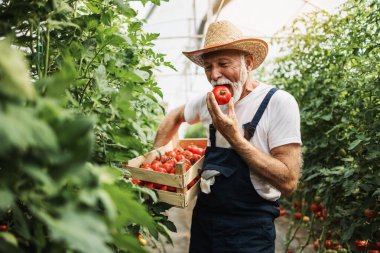 Mutlu ve gülümseyen son sınıf öğrencisi serada çalışıyor..