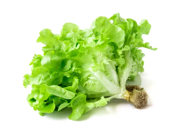 Ensalada de lechuga verde fresca sobre fondo blanco — Foto de Stock