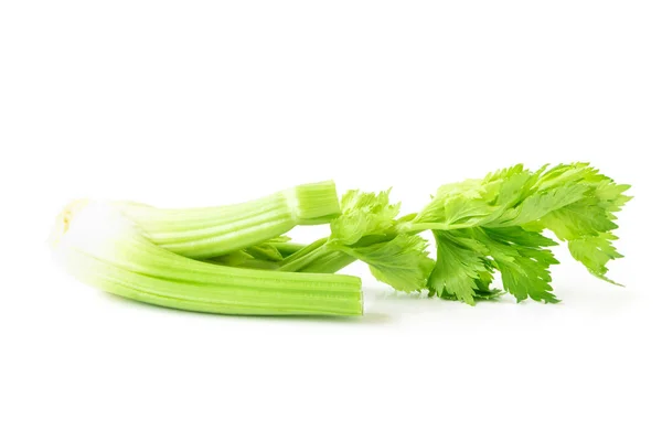 Friss zeller zöldség, fehér háttér, egészséges élelmiszer koncepció — Stock Fotó