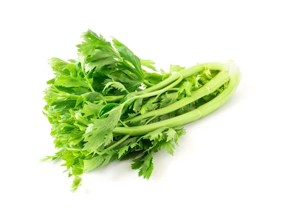 Légumes de céleri frais sur fond blanc, concept d'alimentation saine — Photo