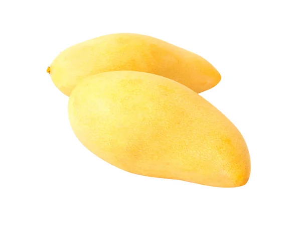 Fresh mango fruit on white background — Stock Photo, Image