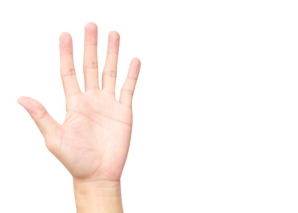 Hand palms on white background with clipping path