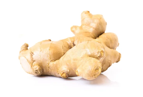 Fresh ginger root on white background for herb and medical product concept — Stock Photo, Image
