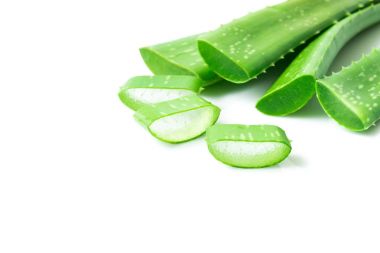 Aloe vera ile güzellik ve sağlıklı ürün kavramı için beyaz zemin üzerine dilimlenmiş