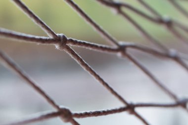 Relax ve tatil kavramı, seçici odak için doğa arka plan ile portre hamak