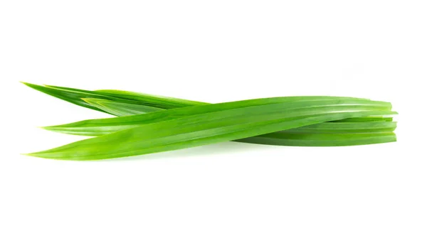 Hojas verdes frescas de pandan aisladas sobre fondo blanco —  Fotos de Stock