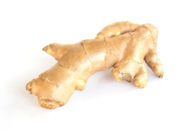 Taze zencefil kökü bitki ve tıbbi ürün konsepti için beyaz arkaplanda izole edildi