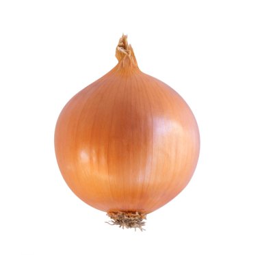 Beyaz arka planda soğan, çiğ yiyecek.