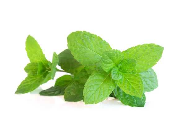 Fresh Green Mint Leaves Isolated White Background Herb Medical Concept — Stock Photo, Image