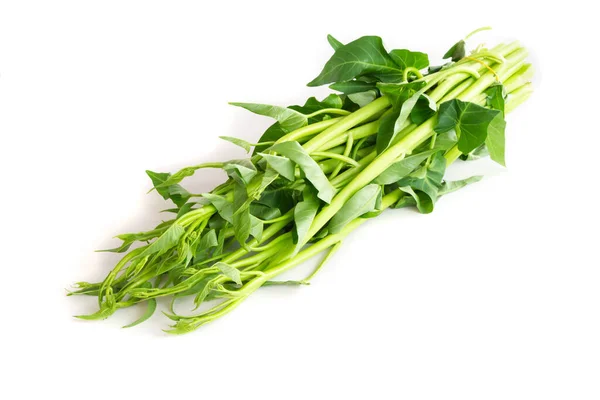 Closeup Water Spinach White Background Herb Medical Concept Selective Focus — Stock Photo, Image