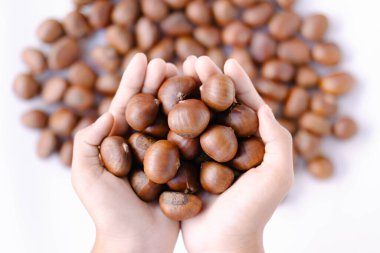 Yakın çekim üst el beyaz arka planda at kestanesi tutuyor, sağlıklı yiyecek kavramı