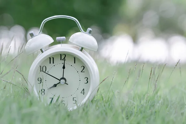 Taze Yeşil Akım Arka Planında Alarm Saati Sabah Rahatlama Zamanı — Stok fotoğraf