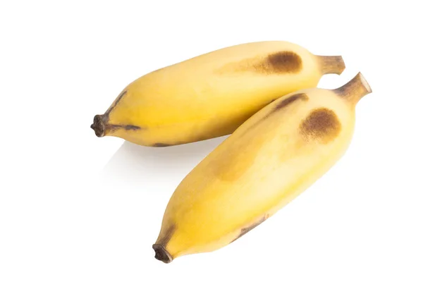 Спелые Банановые Ветви Белом Фоне — стоковое фото
