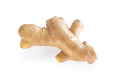 Taze zencefil kökü bitki ve tıbbi ürün konsepti için beyaz arkaplanda izole edildi