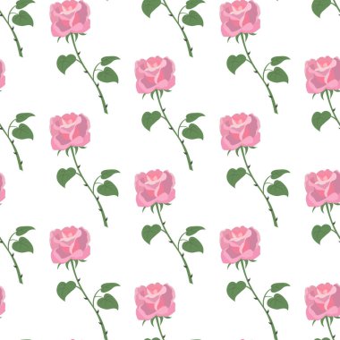 Beyaz zemin üzerine gül ile Seamless Modeli.