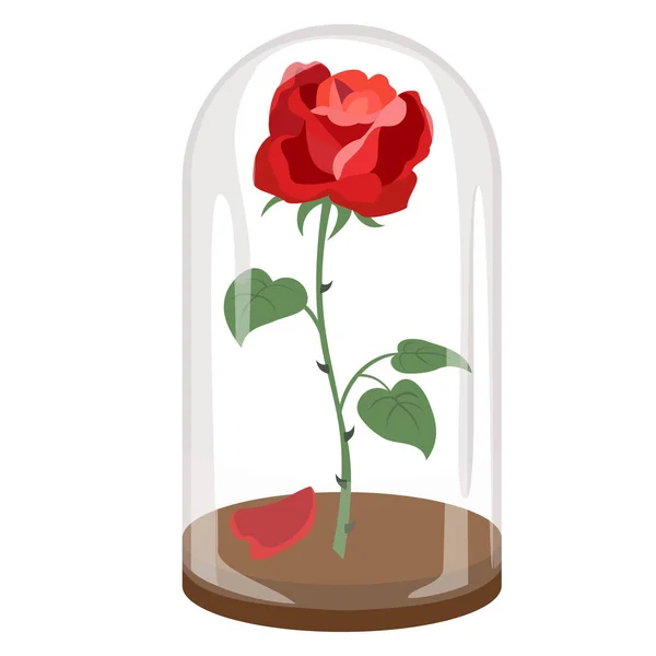 Rose in a flask of glass on the white background. — Stock Vector