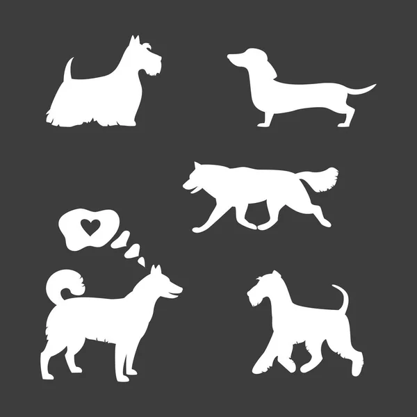 Ensemble de silhouettes pour chien sur fond noir . — Image vectorielle