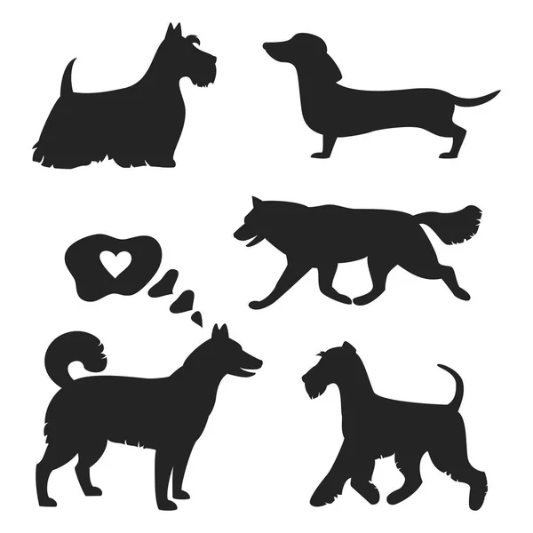 Ensemble de silhouettes de chien sur le fond blanc . — Image vectorielle