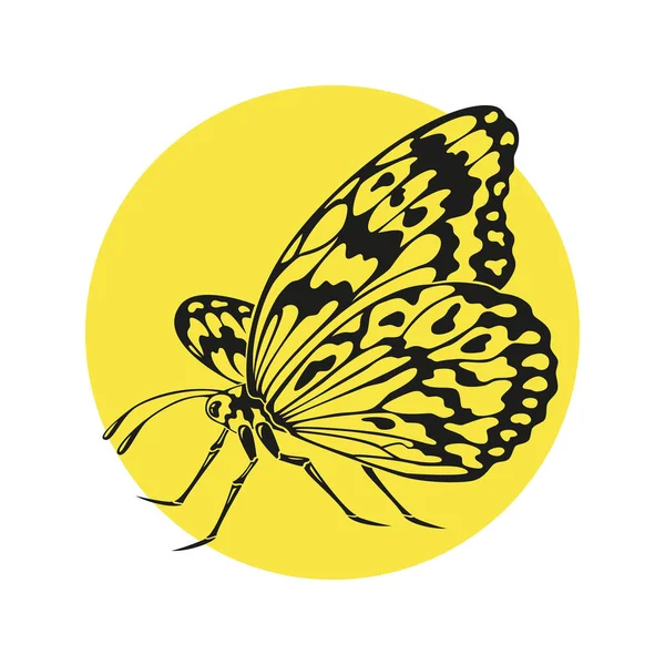 Icono de silueta de mariposa sobre fondo amarillo . — Vector de stock