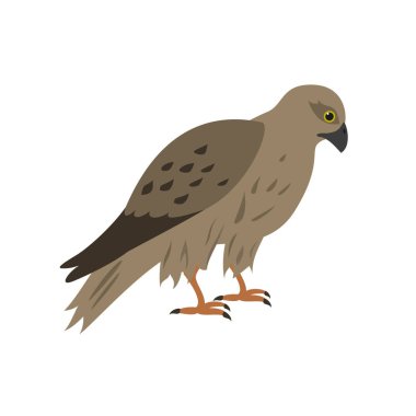 Çizgi film Şahin simgesi beyaz arka plan üzerinde. 