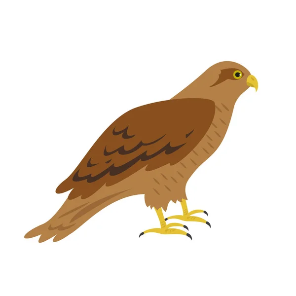 Cartoon hawk pictogram op witte achtergrond. — Stockvector