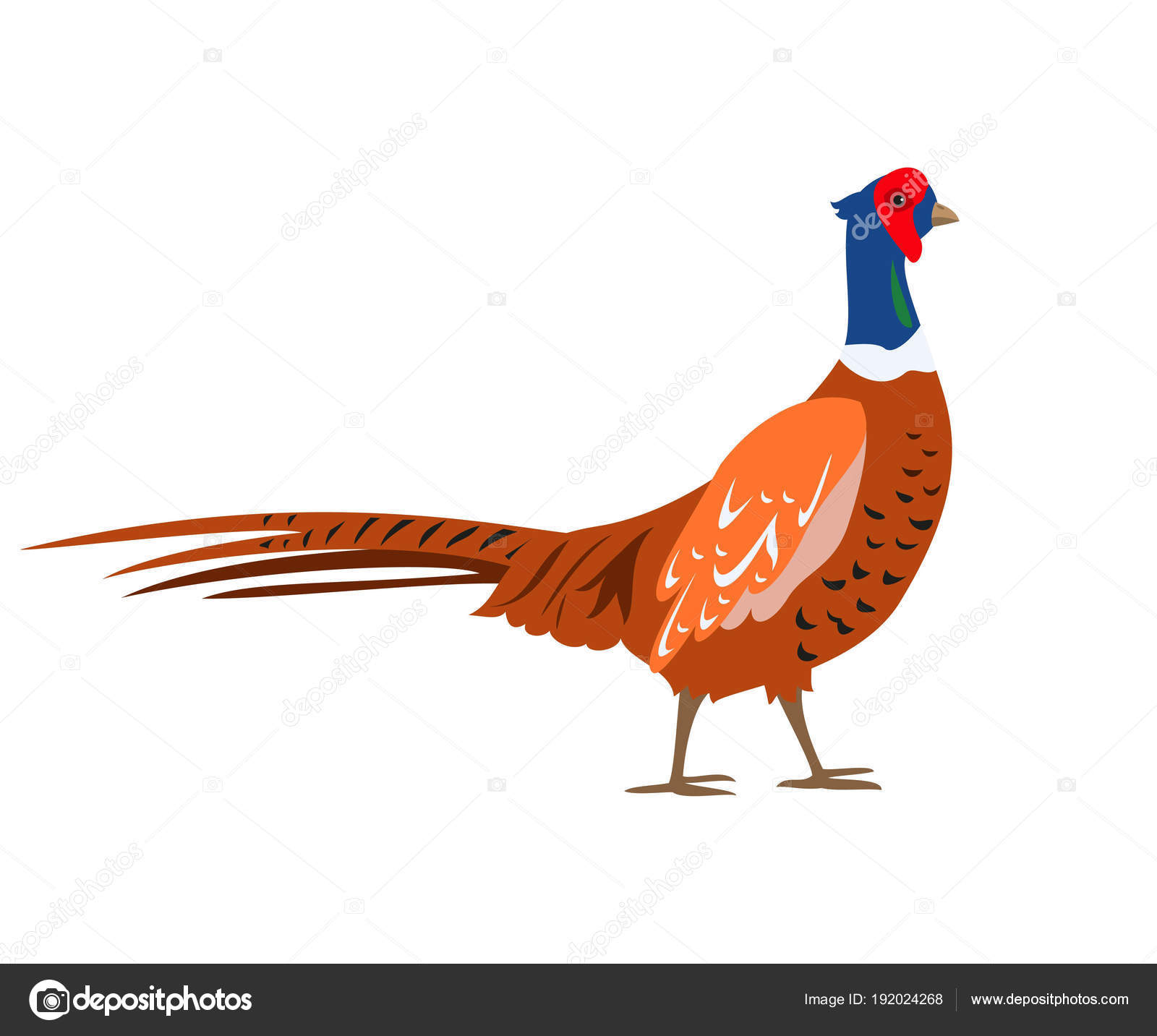 Image vectorielle Icône de faisan dessin animé sur fond blanc . par  ©oldmillionka.gmail.com - 192024268, image size:1600x1433