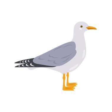 Çizgi film martı simgesi beyaz arka plan üzerinde. 