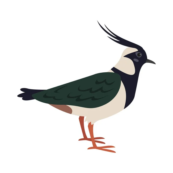 Icono de lapwing de dibujos animados sobre fondo blanco . — Archivo Imágenes Vectoriales