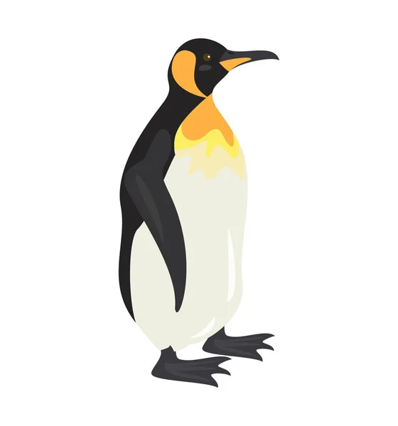 Cartoon pinguïn pictogram op witte achtergrond. — Stockvector