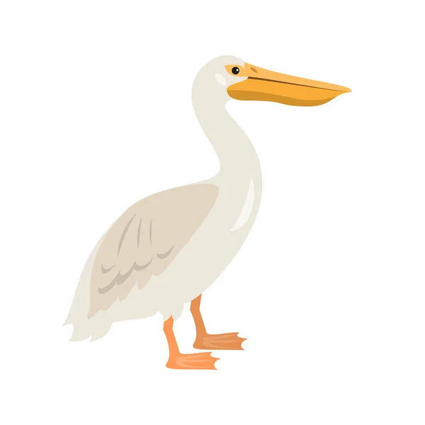 Cartoon pelican icon on white background. — Stock Vector