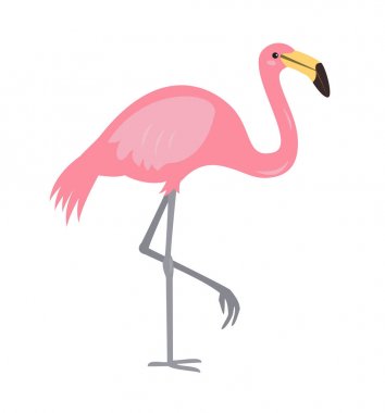 Beyaz arka plan üzerinde çizgi film flamingo simgesi.