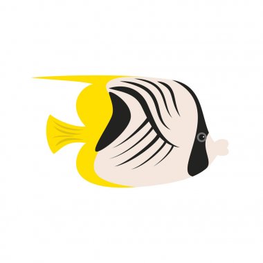 Tropikal kelebek balık beyaz arka plan üzerinde.