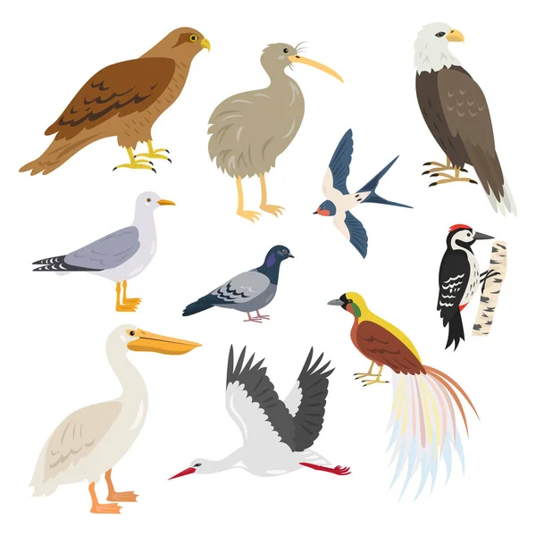 Set cartoon cute vogels op witte achtergrond. — Stockvector