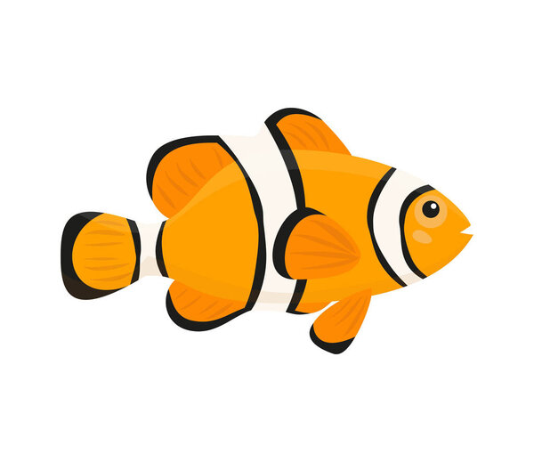 Cute clown fish on white background. 