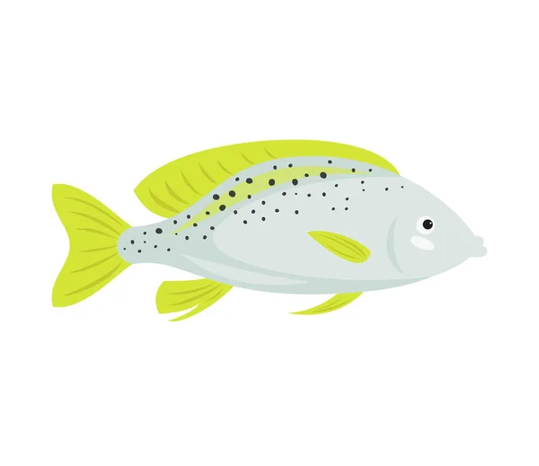 Cartoon fish icon on white background. — Stock Vector