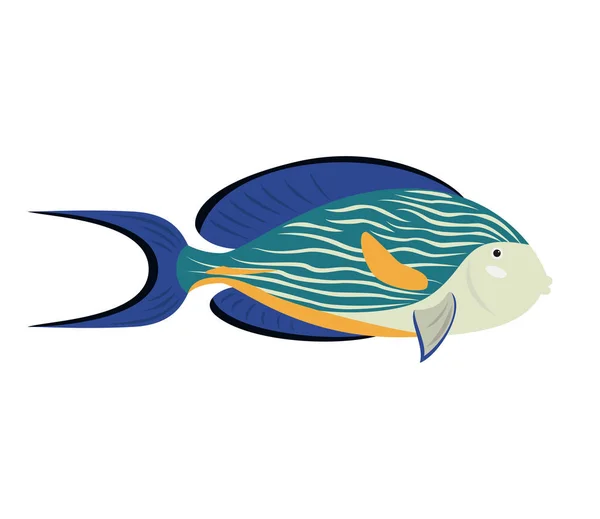 Cartoon fish surgeon icon on white background. — Stock Vector