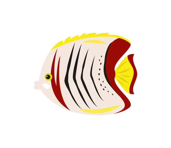 Tropikalna ryba motyl na białym tle. — Wektor stockowy
