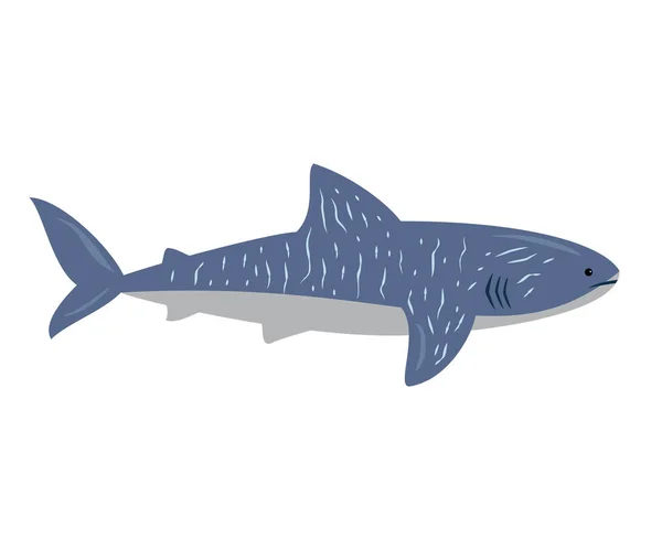 Tiburón de dibujos animados sobre fondo blanco . — Vector de stock