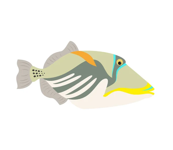 Picasso triggerfish fish icon on white background. — Stock Vector