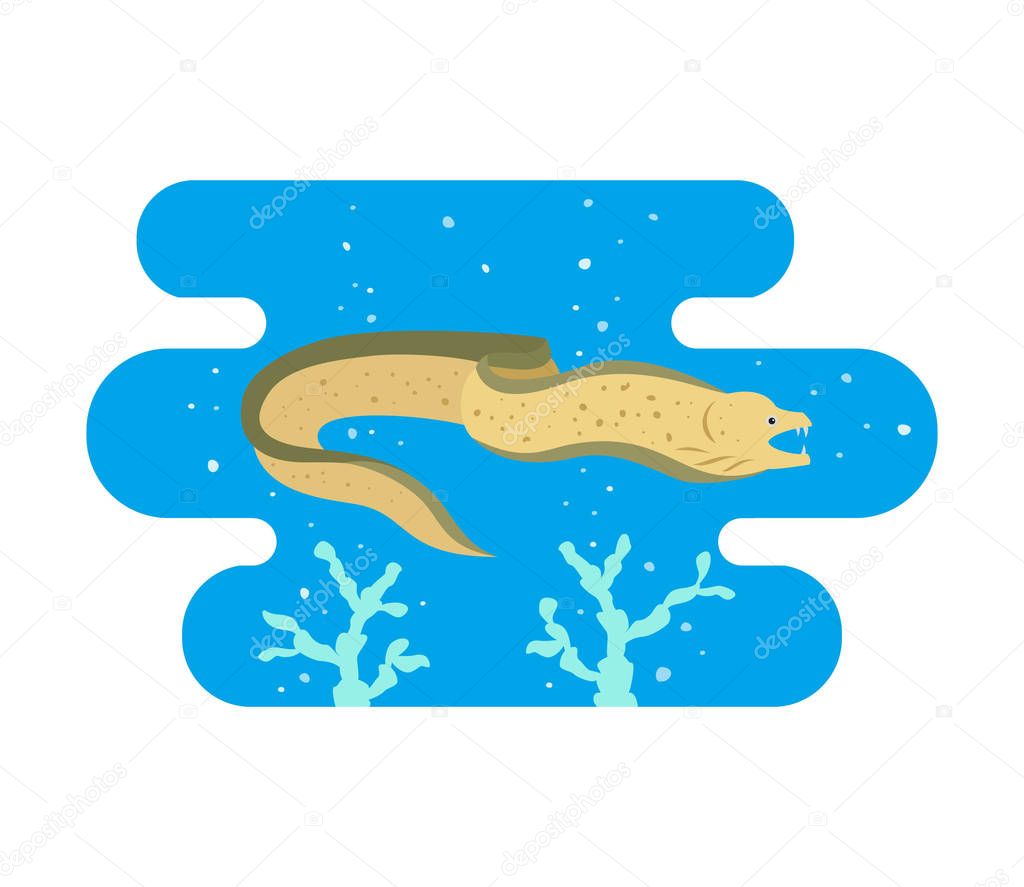 Moray eel on blue background. Vector illustration.