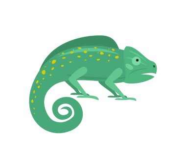 Beyaz arka plan üzerinde şirin bukalemun. 